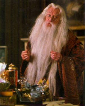 dumbledore_talking_harry_dontcharry.jpg