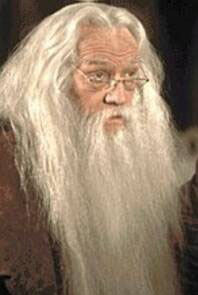 dumbledore_closeup.jpg